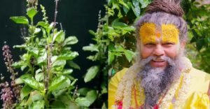 तुलसी का पौधा बन गया है जंगल? उखाड़ने से पहले जान लें प्रेमानंद महाराज की ये चेतावनी!