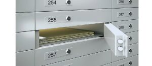 बैंक लॉकर के नाम पर इंश्योरेंस का खेल! अगर बैंक डाले दबाव तो न हों परेशान, जानें अपना अधिकार