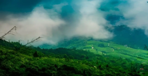 भीड़भाड़ से दूर सुकून की तलाश? उत्तर बंगाल का यह ‘Hidden Gem’ आपका दिल जीत लेगा!